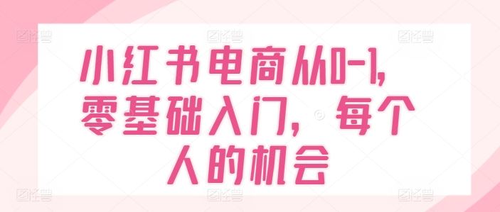 小红书电商从0-1，零基础入门，每个人的机会-东坡聊项目