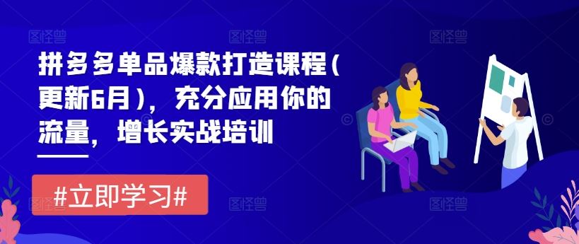 拼多多单品爆款打造课程(更新6月)，充分应用你的流量，增长实战培训-东坡聊项目