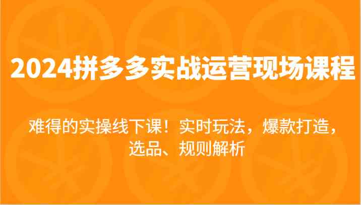 2024拼多多实战运营现场课，实时玩法，爆款打造，选品、规则解析，难得的实操线下课！-东坡聊项目