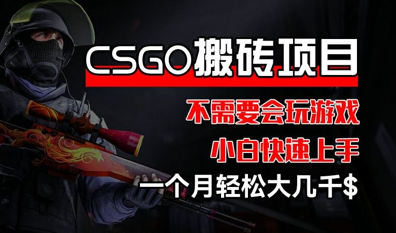 CSGO 装备搬砖项目，操作简单，不需要会玩游戏，小白也能快速上手，一个月轻松大几千【揭秘】-东坡聊项目