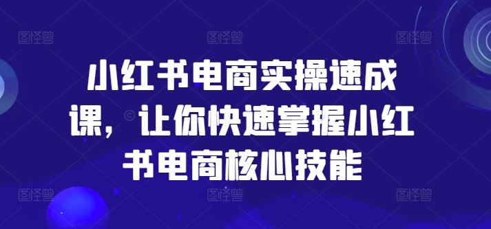 小红书电商实操速成课，让你快速掌握小红书电商核心技能-东坡聊项目