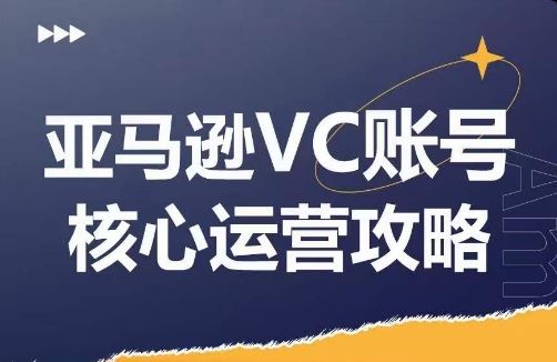 亚马逊VC账号核心玩法解析，实战经验拆解产品模块运营技巧，提升店铺GMV，有效提升运营利润-东坡聊项目