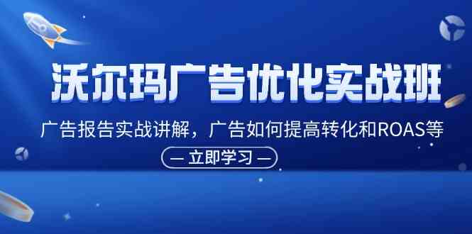 沃尔玛广告优化实战班，广告报告实战讲解，广告如何提高转化和ROAS等-东坡聊项目