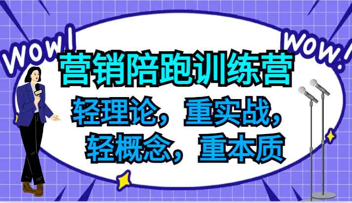 营销陪跑训练营，轻理论，重实战，轻概念，重本质，适合中小企业和初创企业的老板-东坡聊项目