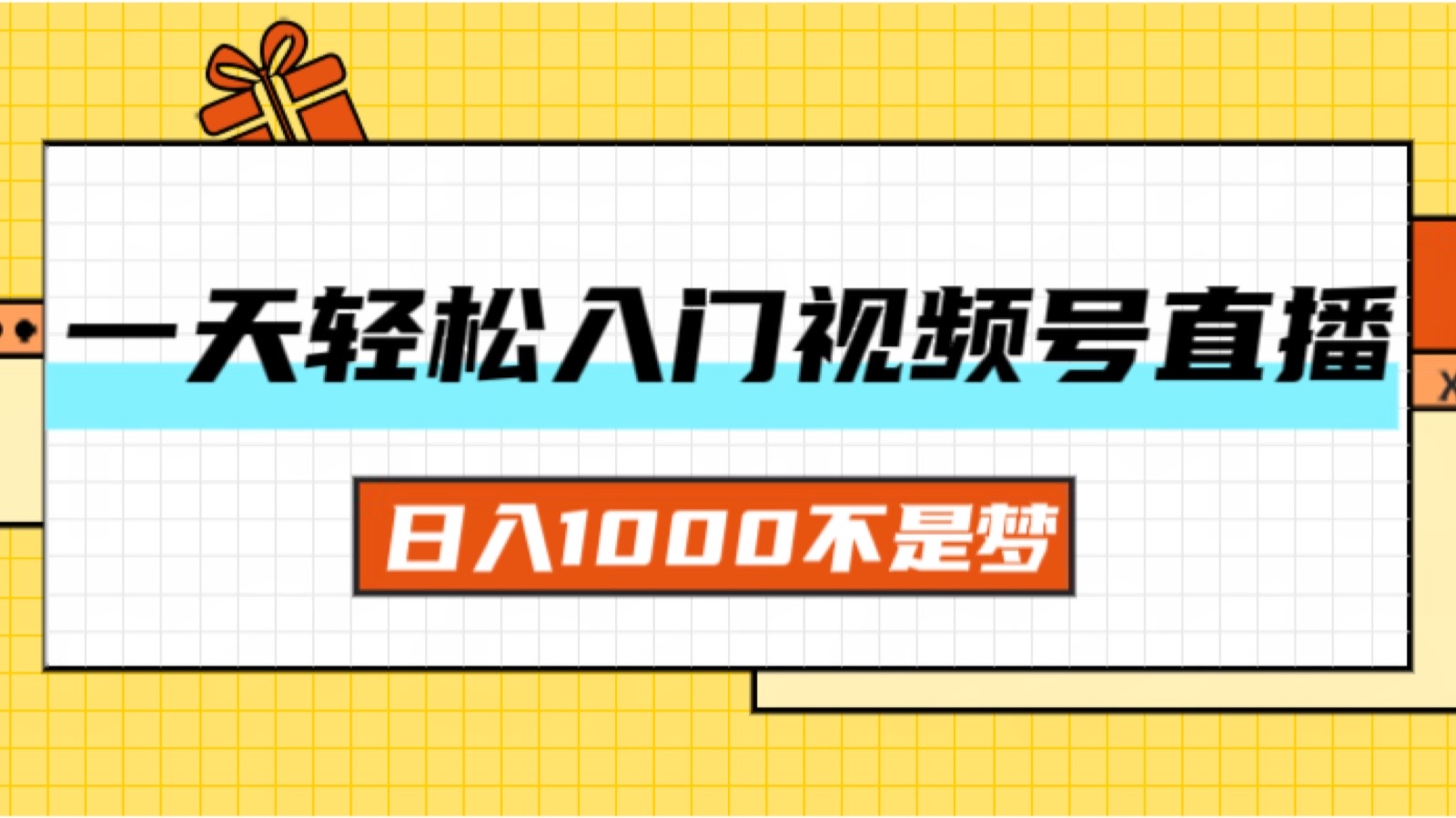 （11906期）一天入门视频号直播带货，日入1000不是梦-东坡聊项目