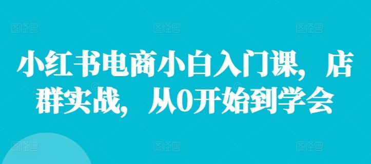 小红书电商小白入门课，店群实战，从0开始到学会-东坡聊项目