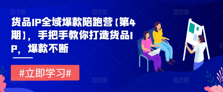 货品IP全域爆款陪跑营【第4期】，手把手教你打造货品IP，爆款不断-东坡聊项目