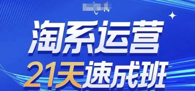 淘系运营21天速成班(更新24年8月)，0基础轻松搞定淘系运营，不做假把式-东坡聊项目