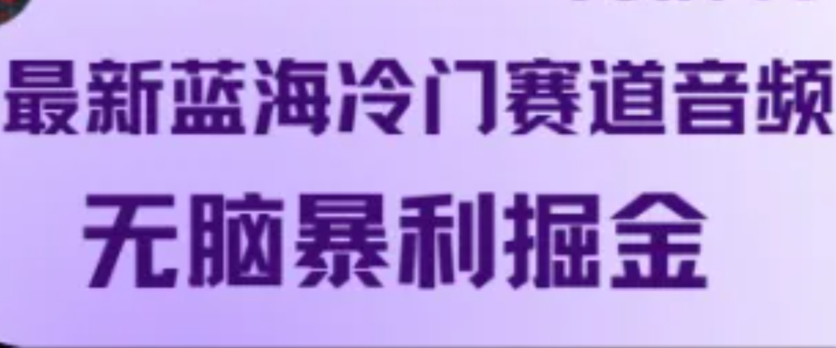 最新蓝海冷门赛道音频，无脑暴利掘金-东坡聊项目