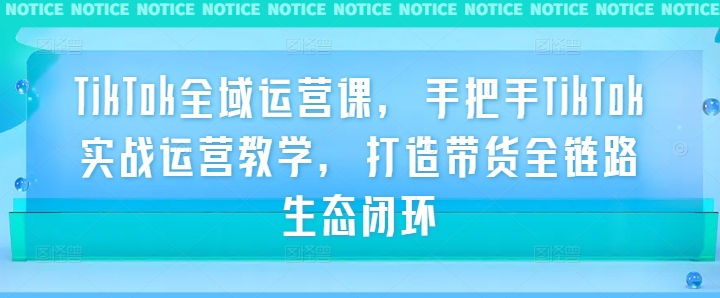 TikTok全域运营课，手把手TikTok实战运营教学，打造带货全链路生态闭环-东坡聊项目