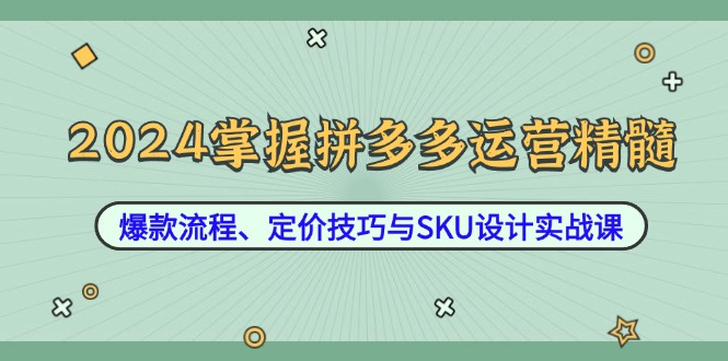 2024掌握拼多多运营精髓：爆款流程、定价技巧与SKU设计实战课-东坡聊项目