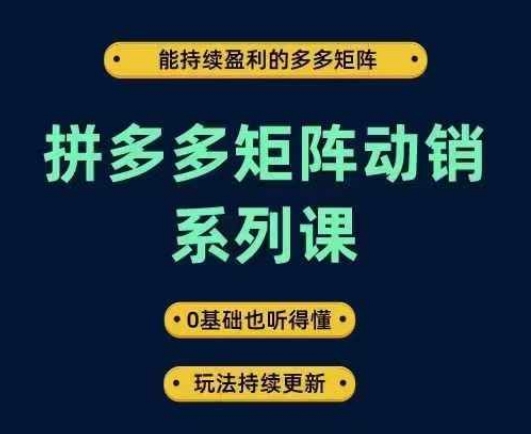 拼多多矩阵动销系列课，能持续盈利的多多矩阵，0基础也听得懂，玩法持续更新-东坡聊项目